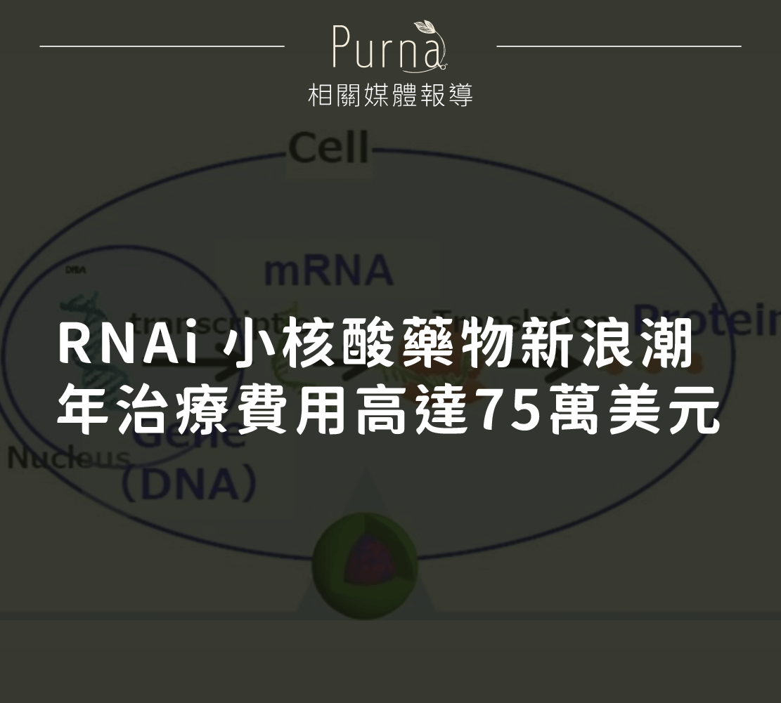 報導標題1